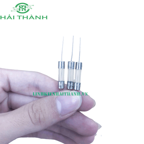 CẦU CHÌ THỦY TINH 12A 250VAC 5X20MM CHÂN CẮM