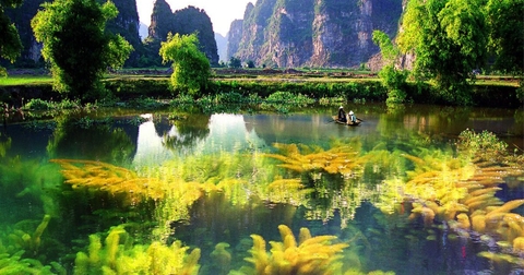 Đầm Vân Long – Bức Tranh Thủy Mặc Giữa Lòng Ninh Bình