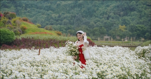 Thung Nham Ninh Bình – Vẻ Đẹp Hoang Sơ Giữa Miền Di Sản