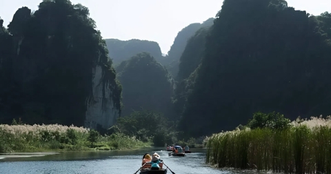 Mùa Lau Trắng Ninh Bình – Bản Tình Ca Nhẹ Giữa Núi Non