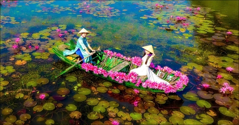 Tam Cốc Ninh Bình: Kinh Nghiệm Du Lịch Chi Tiết Cho Hành Trình Trọn Vẹn