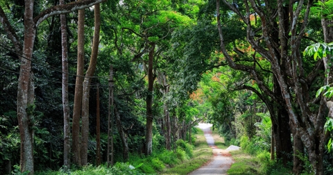 Trekking Cúc Phương – Thử Thách Nhẹ Cho Tâm Hồn Yêu Thiên Nhiên