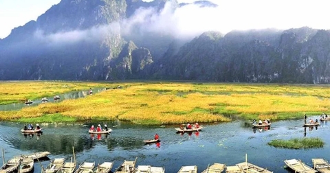 Vì Sao Ninh Bình Tháng 6 Là Thời Điểm Vàng Cho Dân Mê Chụp Ảnh?