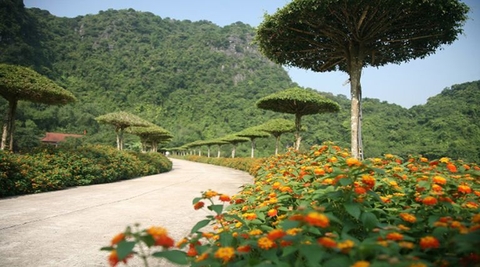 Khu Du Lịch Sinh Thái Thung Nham