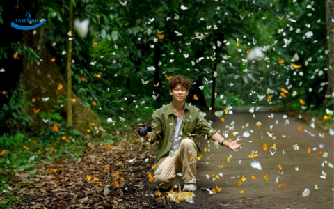 Vườn Quốc gia Cúc Phương | Tour Ninh Bình 1 ngày