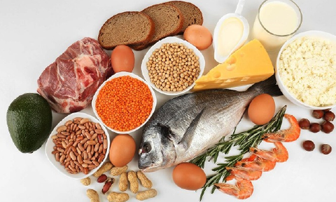 단백질 섭취는 왜 그렇게 중요할까