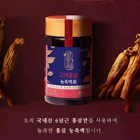 고려 홍삼 농축액 진 240g
