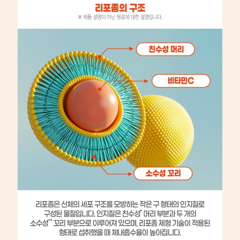 쿨멜팅 리포좀 비타민C 60g (2gx30포)