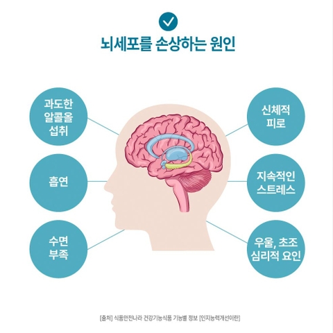 포스파티딜세린 징코 플러스 (800mg x 60캡슐)