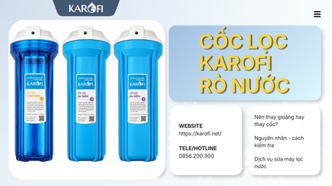 Cốc Lọc Karofi Bị Rò Nước: Nguyên Nhân Và Nên Thay Gioăng Hay Thay Cốc?