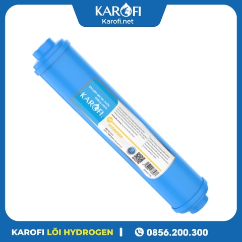 Lõi Chức Năng Hydrogen Karofi