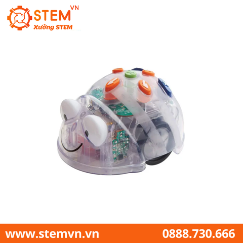 Blue Bot Robot giáo dục cho lứa tuổi mầm non