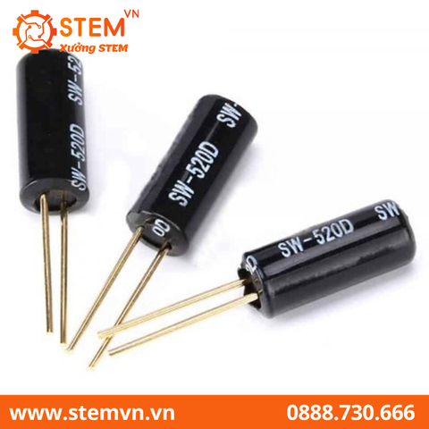 Cảm Biến Rung Lò Xo