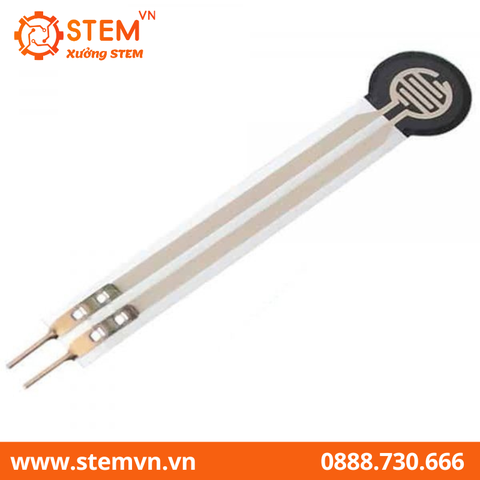 Cảm Biến Lực, Cảm Biến Áp Suất RFP602