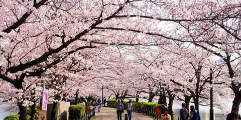 Hàn Quốc gia hạn miễn phí visa cho khách đoàn Việt Nam đến hết tháng 6/2026