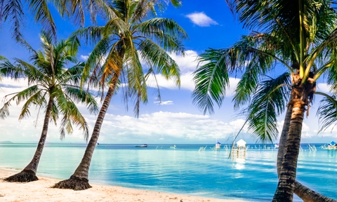 Top 6 Bãi Biển Đẹp Nhất Việt Nam Nhất Định Phải Đến