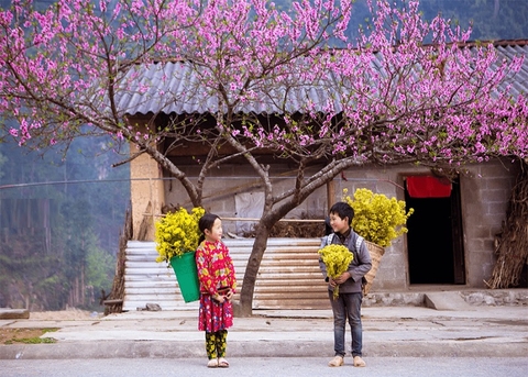 HÀ GIANG - CAO NGUYÊN ĐÁ - KHUỔI MY 3N4Đ