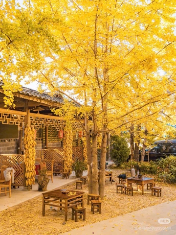 (LM) HÀ KHẨU - ĐẠI LÝ - ĐẰNG XUNG - CÔN MINH 5N4D