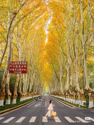 HÀ NỘI – HÀNG CHÂU – THƯỢNG HẢI – Ô TRẤN – HÀNG CHÂU - OPTION DISNEYLAND 6N5D - NOSHOP