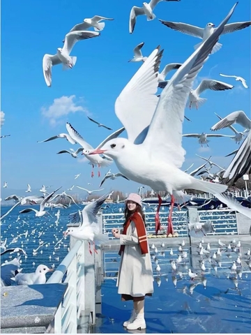 (LM) CÔN MINH – ĐẠI LÝ 4N4D