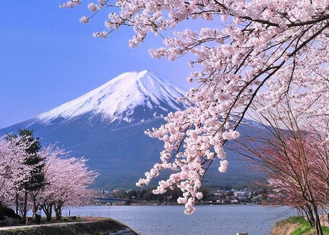 (LM) OSAKA - KOBE - KYOTO - NAGOYA - PHÚ SĨ - TOKYO 6N5Đ BAY VJ