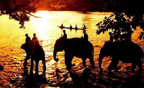 ĐẠI NGÀN TÂY NGUYÊN HÙNG VĨ - MÙA HOA CAFE  PLEIKU- BUÔN MÊ THUỘT 4N3Đ