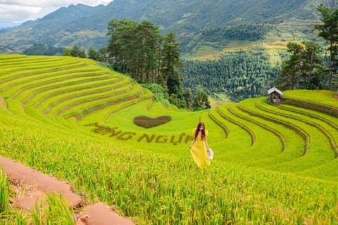 MÙ CANG CHẢI - ĐÈO KHAU PHẠ - TÚ LỆ