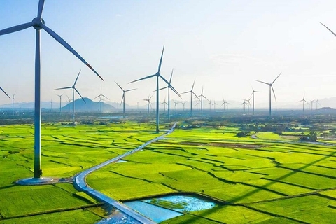 TOUR DU LỊCH NINH THUẬN (3 NGÀY 2 ĐÊM)