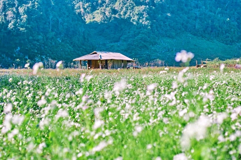 MAI CHÂU - MỘC CHÂU - CẦU KÍNH BẠCH LONG (3N2Đ HOMESTAY)