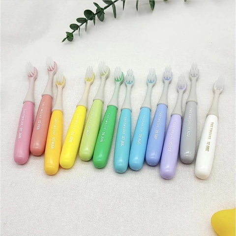 SET 12C BÀN CHẢI - THE TWELVE