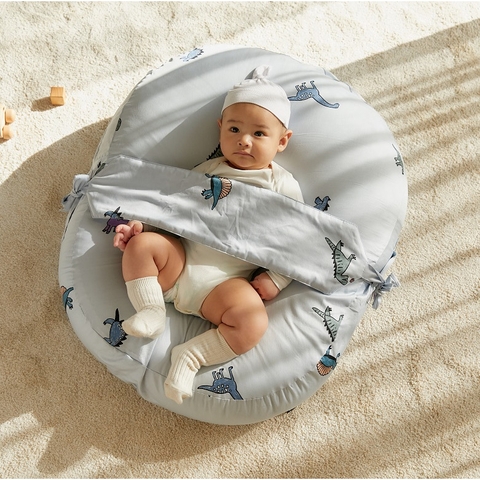 GỐI CHỐNG TRÀO NGƯỢC - DONODONO