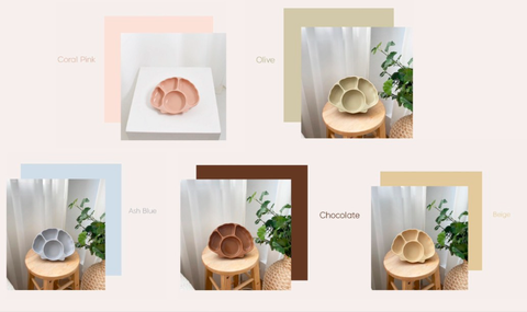 KHAY ĂN DẶM HÌNH SÒ - TGM