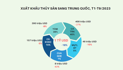 Xuất khẩu thủy sản sang Trung Quốc còn dư địa lớn