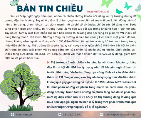 Bản tin thị trường ngày 09/06/2023