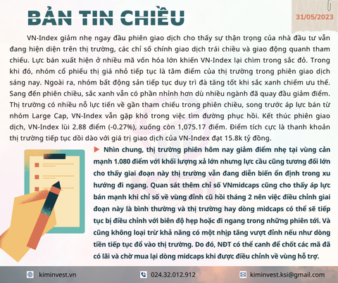 Bản tin thị trường ngày 31/05/2023