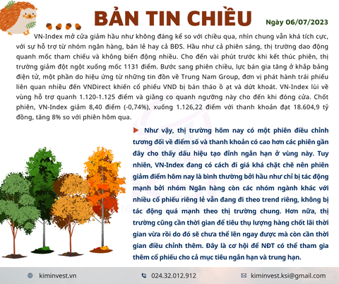 Bản tin thị trường ngày 06/07/2023