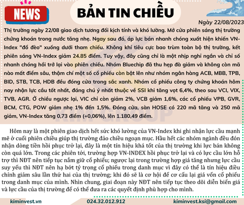 Bản tin thị trường ngày 22/08/2023