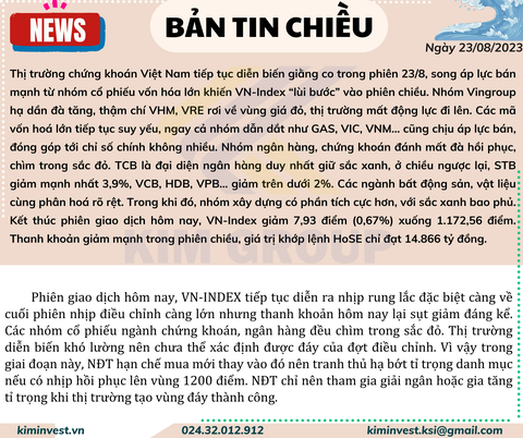 Bản tin thị trường ngày 23/08/2023