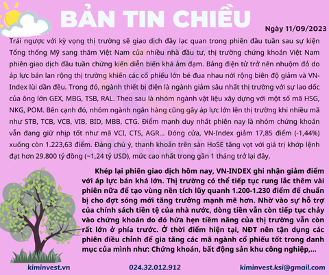 Bản tin thị trường ngày 11/9/2023