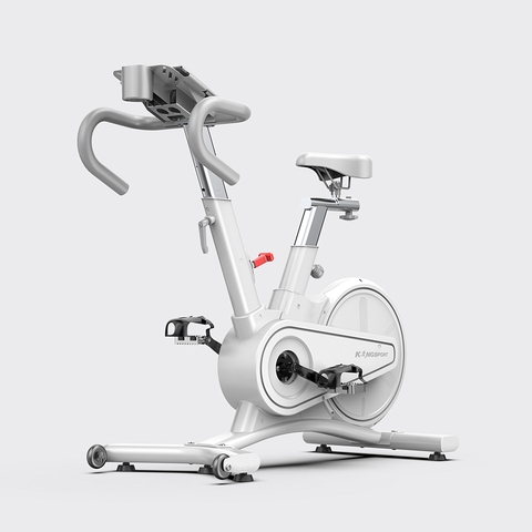 XE ĐẠP TẬP KINGSPORT BK-5814