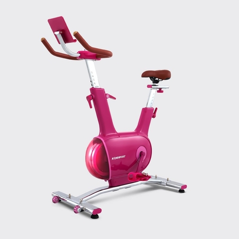 XE ĐẠP TẬP KINGSPORT CREATIVE E-03 PINK