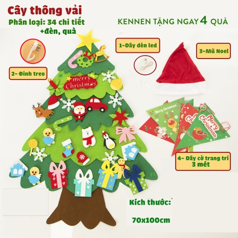 Quất tết 2025 - Thông 2025