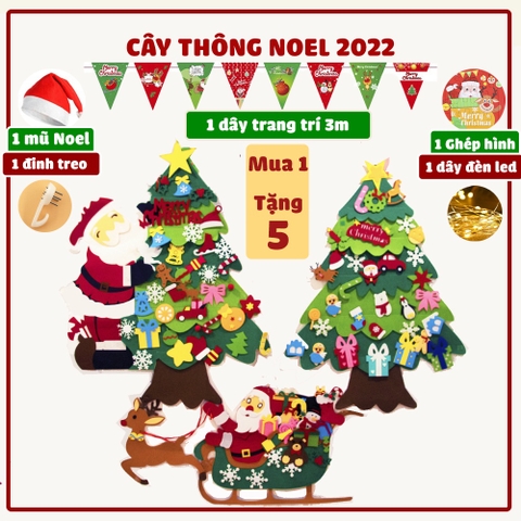 Quất tết 2025 - Thông 2025