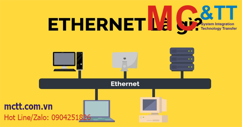 EtherNet là gì? Tổng quan về giao thức mạng Ethernet
