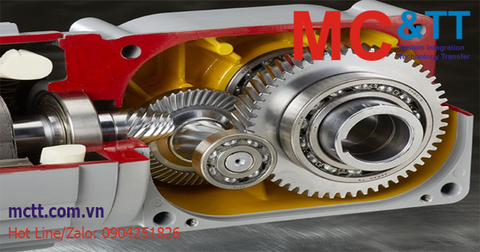 Động cơ giảm tốc - Gear Motor là gì? Ứng dụng Gear Motor trong công nghiệp