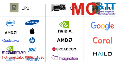 CPU, GPU, TPU là gì? Sự khác biệt giữa CPU với GPU và TPU