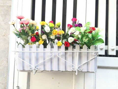 Chậu trồng cây hàng rào hd
