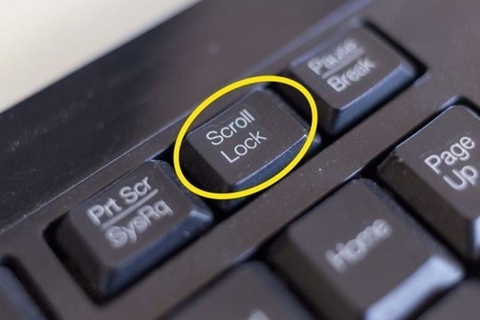 Scroll Lock là gì? Cách thiết lập chức năng sử dụng phím Scroll Lock