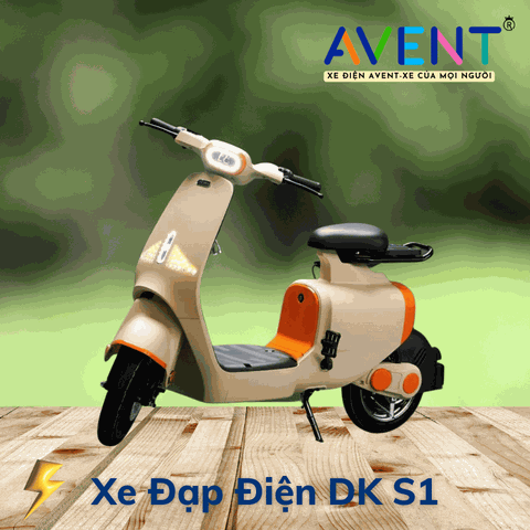 Xe Đạp Điện DK S1