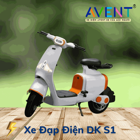 Xe Đạp Điện DK S1
